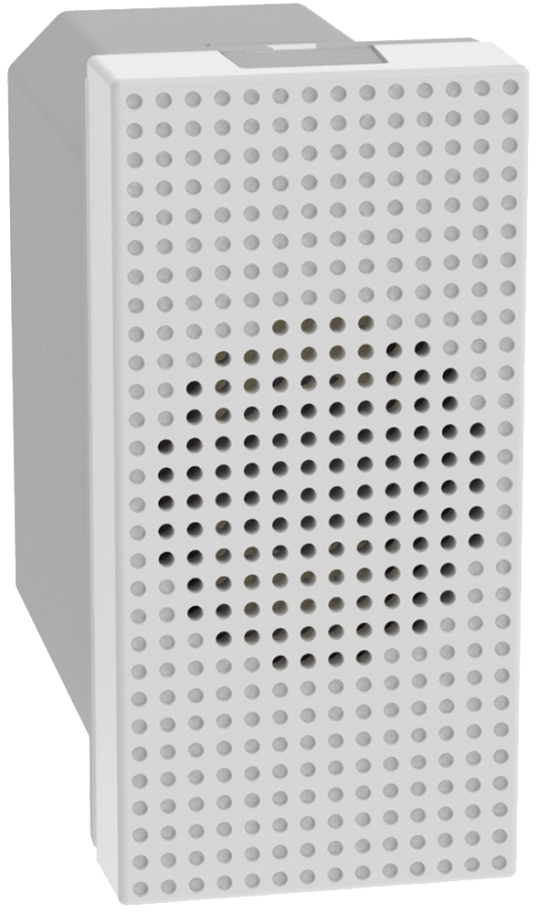 Zumbador blanco
