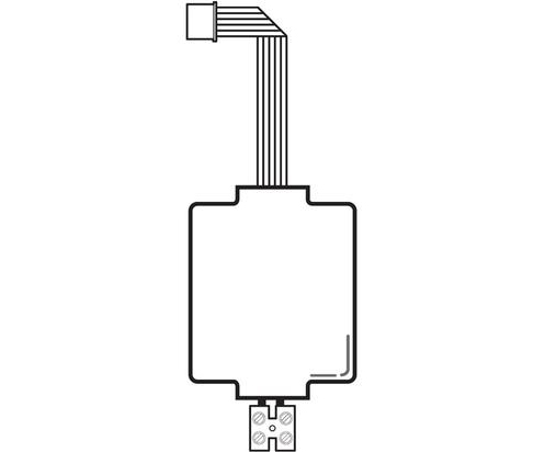 Interfases