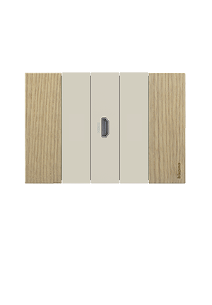 HDMI